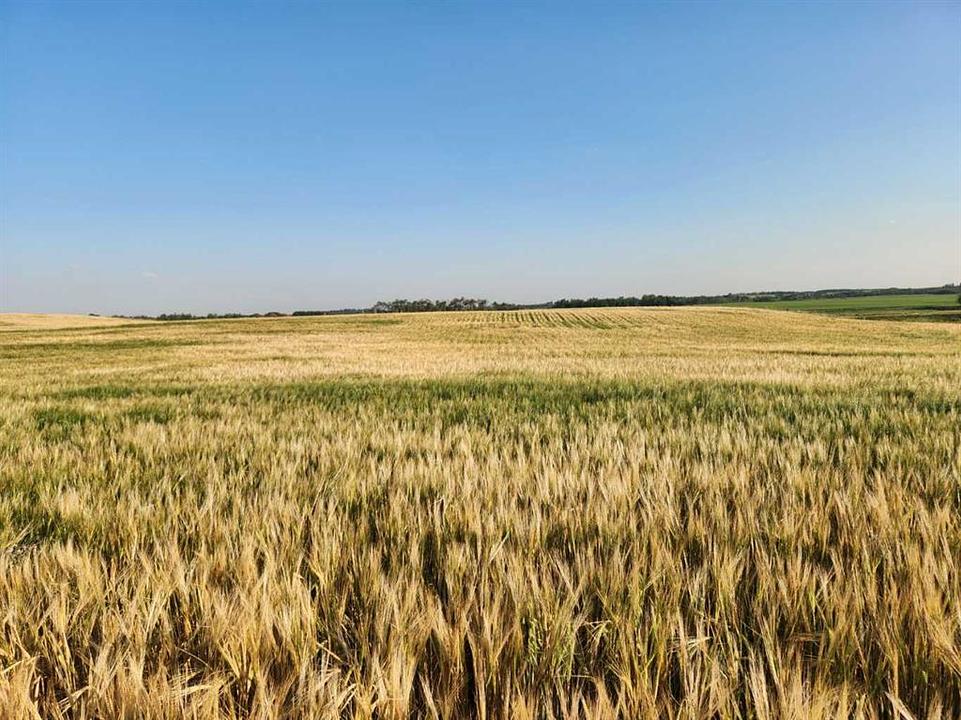 42 Avenue, Stettler County No. 6, AB