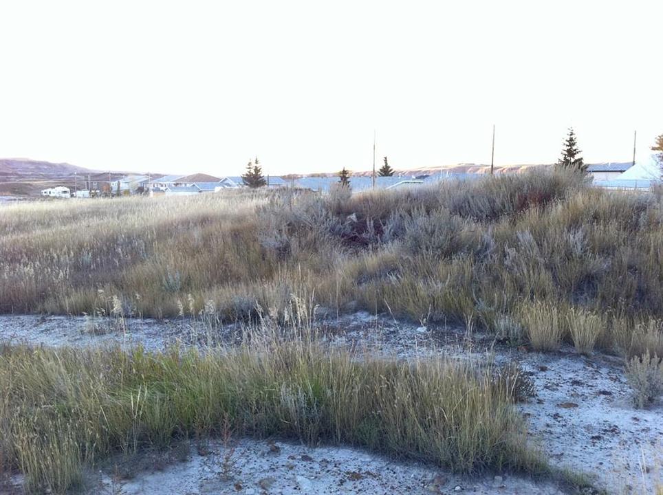 NW-02-029-20W4M NW Other, Drumheller, AB