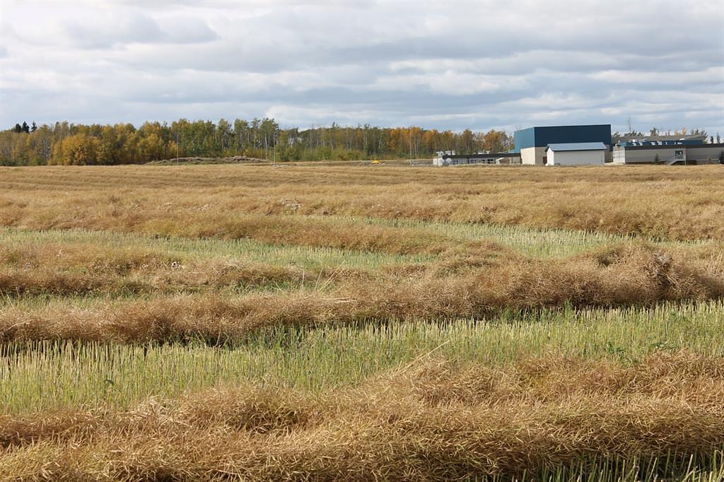 9300 101 Street, Sexsmith, AB