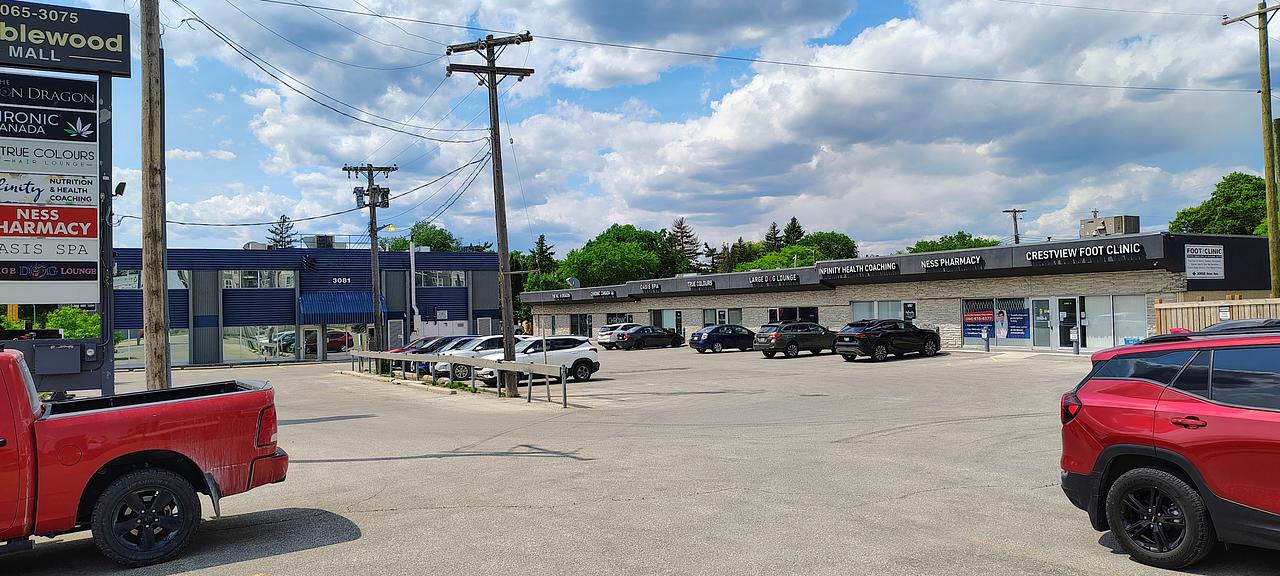 Main Floor - 3081 Ness Avenue, Winnipeg, MB
