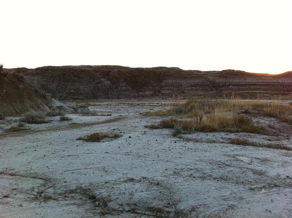NW-02-029-20W4M NW Other, Drumheller, AB
