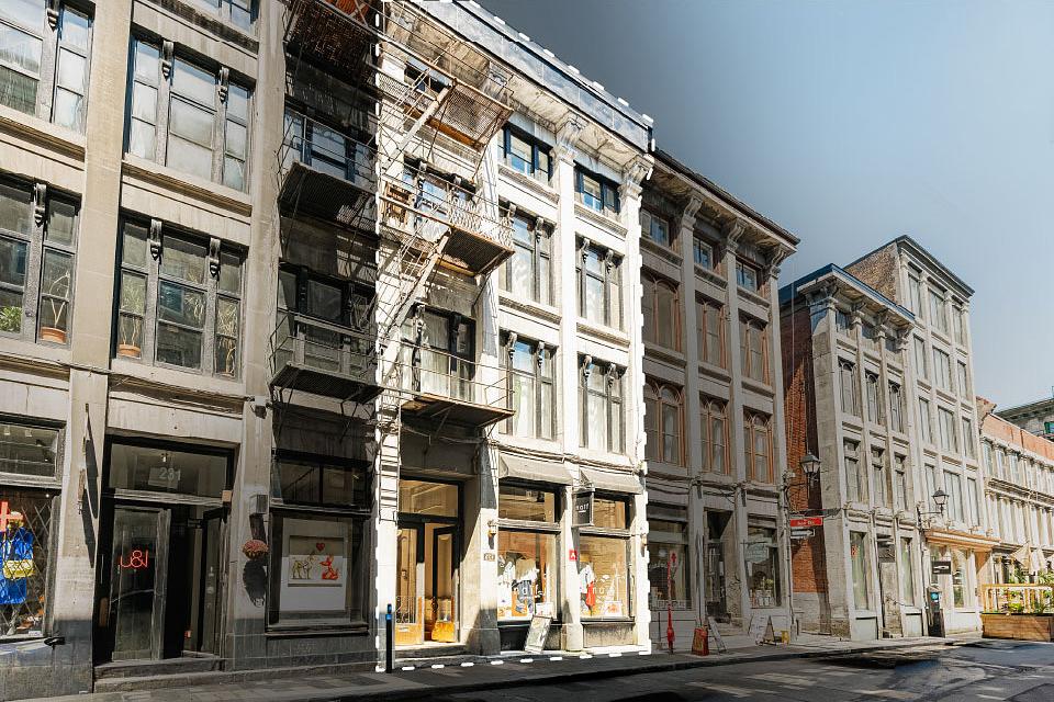 225 Rue Saint-Paul Ouest, Montréal, QC