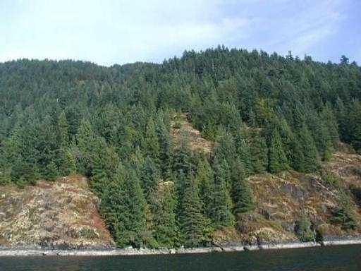 LOT 2&3 INDIAN ARM, BELCARRA, BC