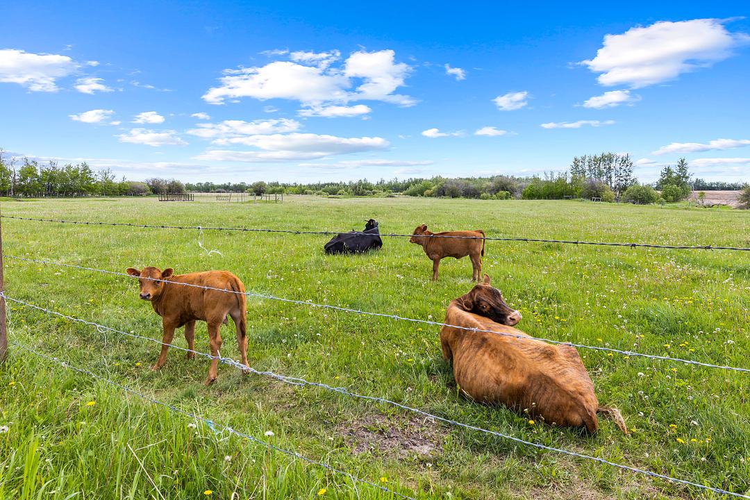 26517 Township Road 584, Pickardville, AB
