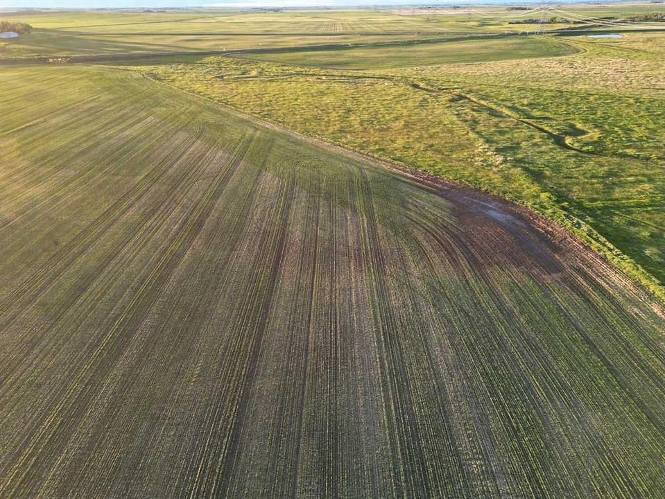 Range Road 274, Rocky View County, AB