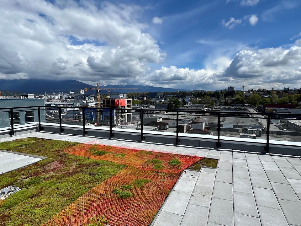 1215 Frances Street, Vancouver, BC