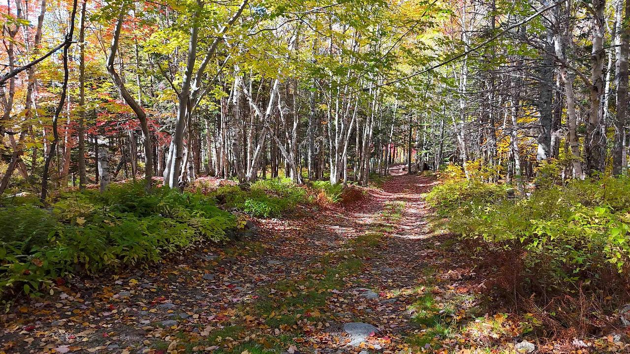 47403 Cabot Trail, Margaree Valley, NS