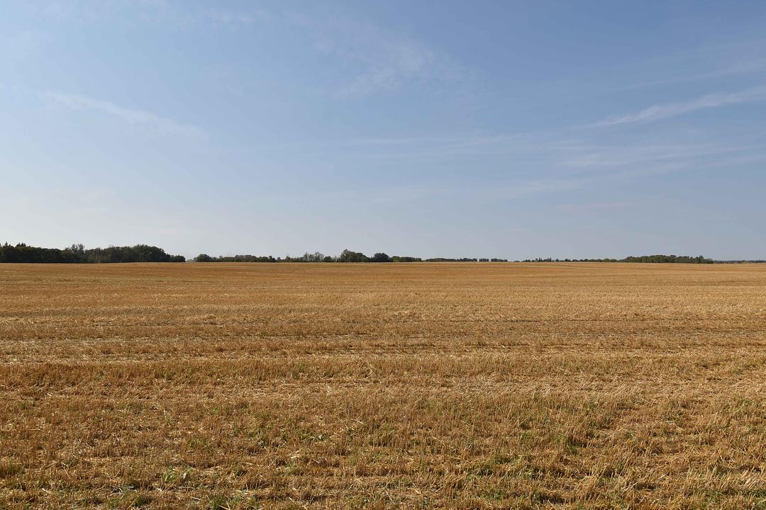 52301 Range Road 275, Parkland County, AB