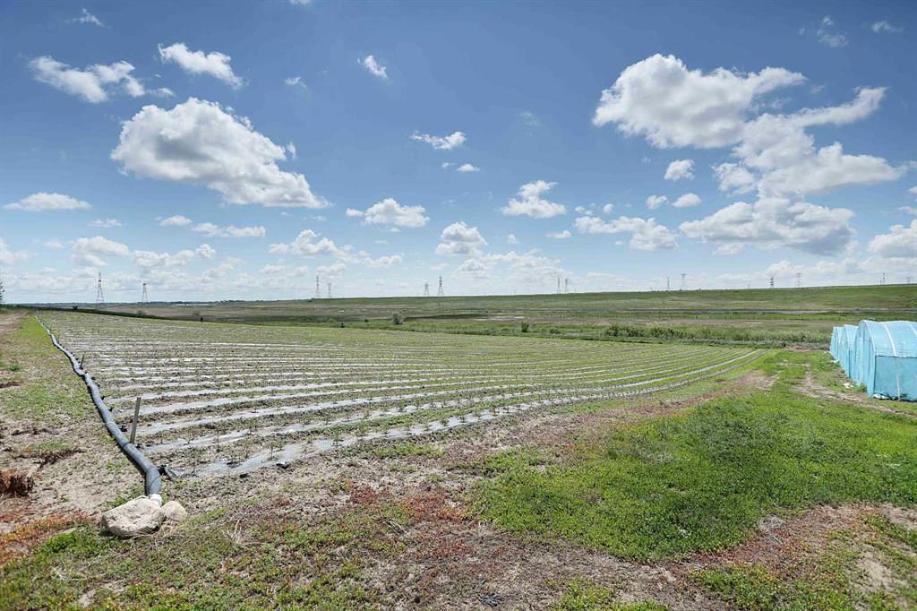 185077 RR153, Rural Newell, County of, AB