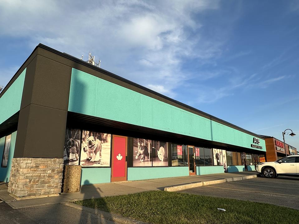 10023 170 Street Northwest, Edmonton, AB