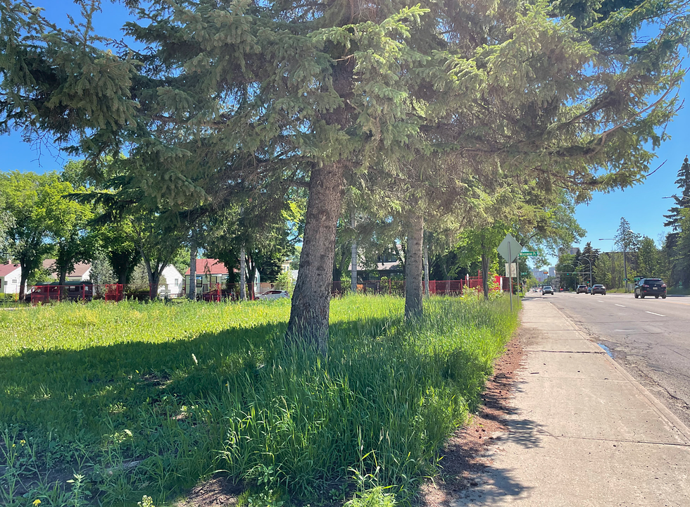 10504 128 Street Northwest, Edmonton, AB