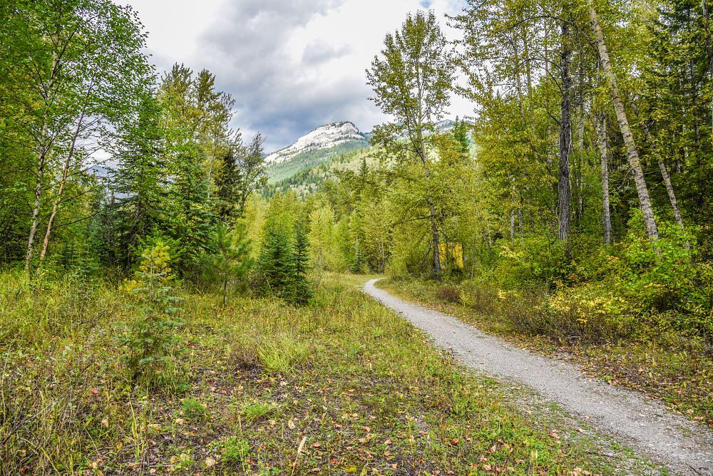 Alpine Trail and Burma Road, Fernie, BC