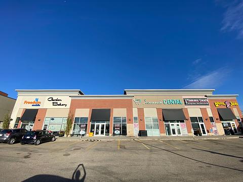 1641 102 Street Northwest, Edmonton, AB
