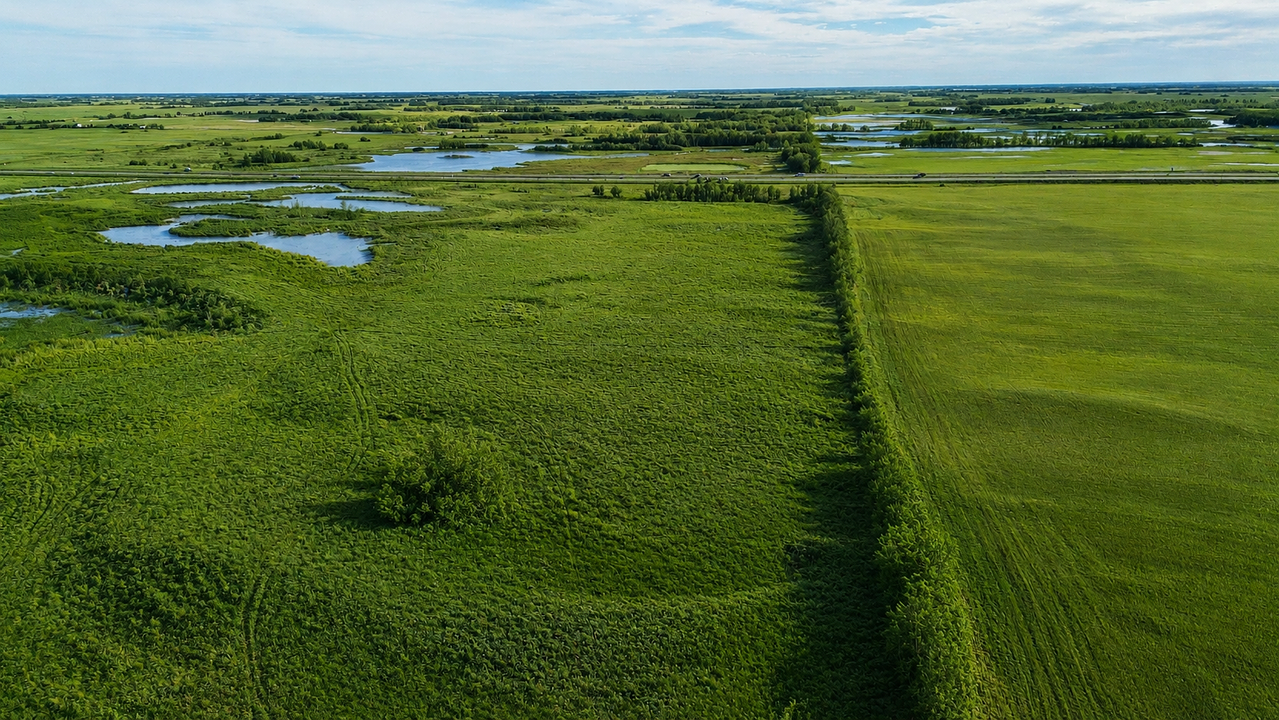 Highway 16, Strathcona County, AB