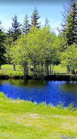 703064b Range Road 82, Wembley, AB