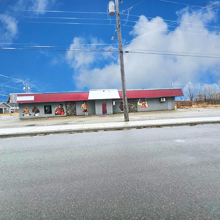 3447 Wilson Avenue, New Waterford, NS
