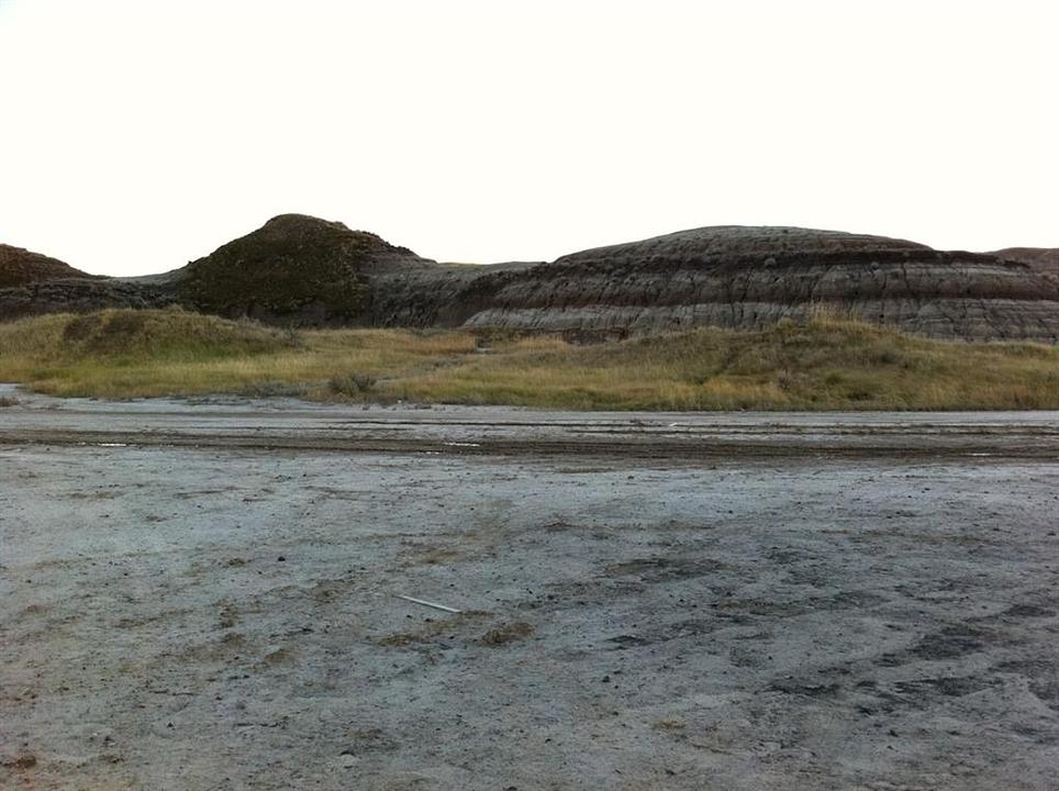NW-02-029-20W4M NW Other, Drumheller, AB