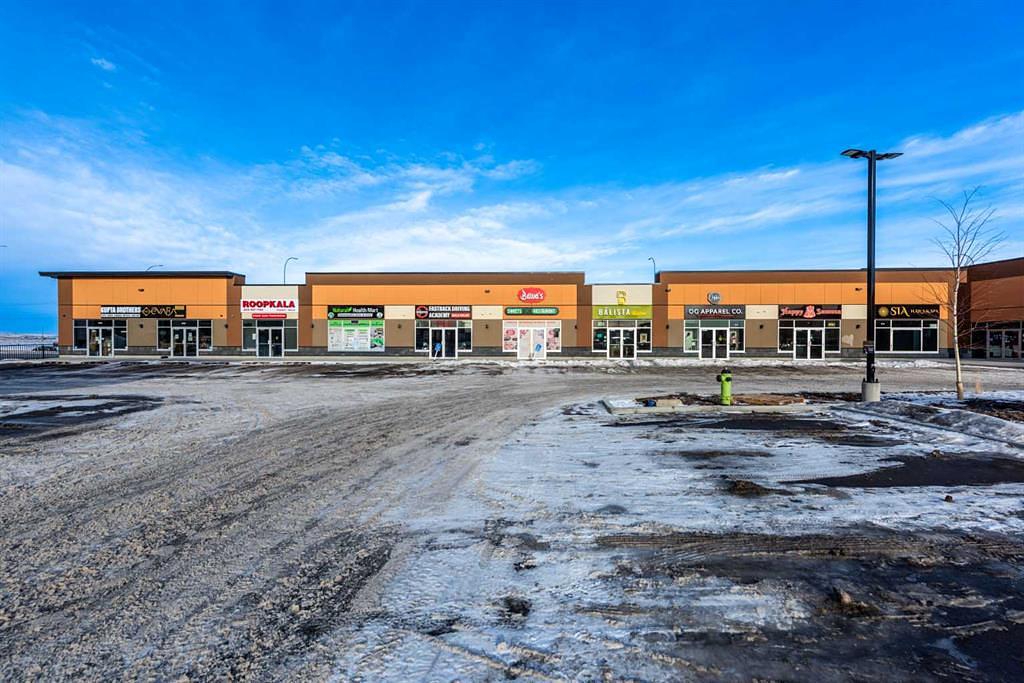 1125 - 4058 109 Avenue Northeast, Calgary, AB