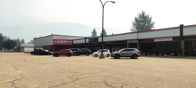 1133 Eagle Pass Way, Sicamous, BC