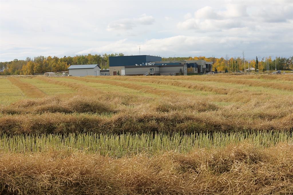 9300 101 Street, Sexsmith, AB