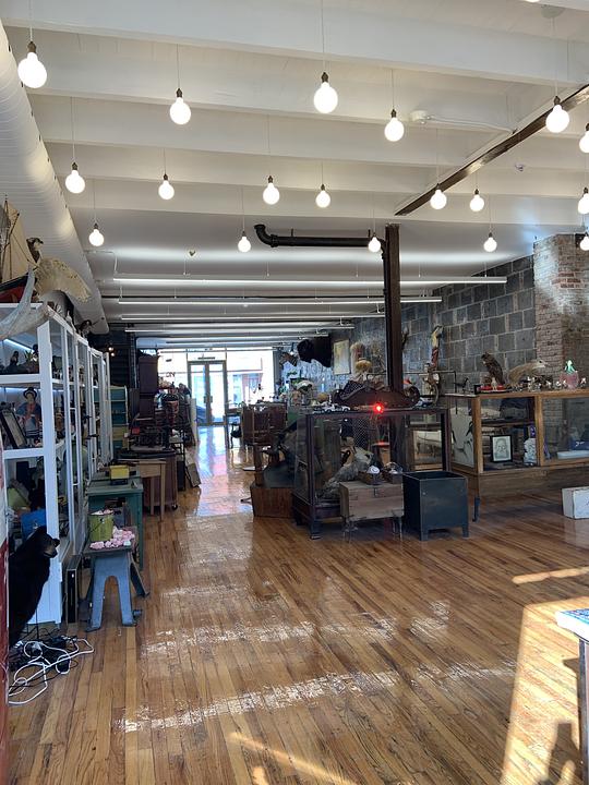 7604 Rue Saint-Hubert, Montréal, QC