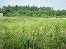 2010 Prospect Drive, Wabasca-Desmarais, AB