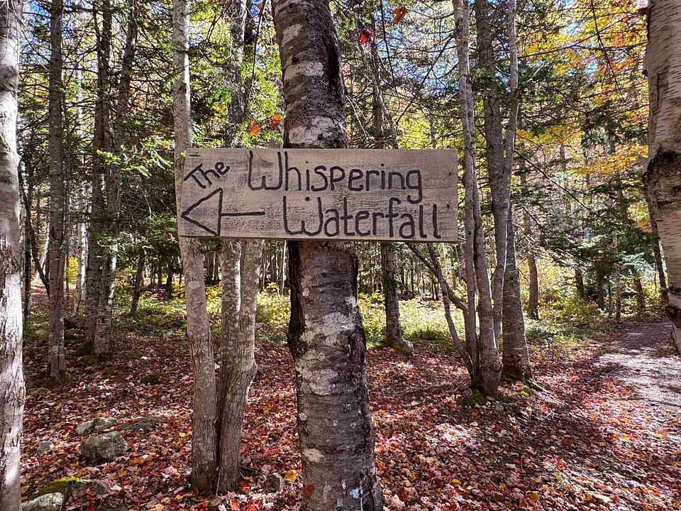 47403 Cabot Trail, Margaree Valley, NS