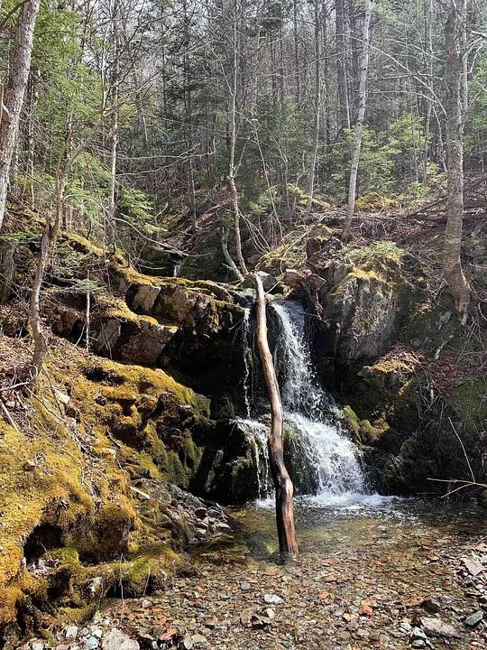 47403 Cabot Trail, Margaree Valley, NS