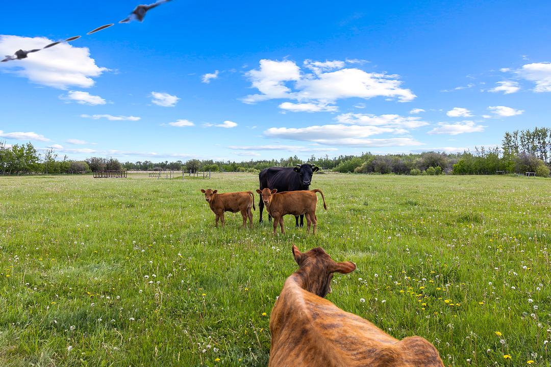 26517 Township Road 584, Pickardville, AB