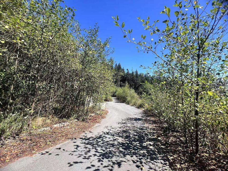 4140 Cypress Bowl Road, West Vancouver, BC
