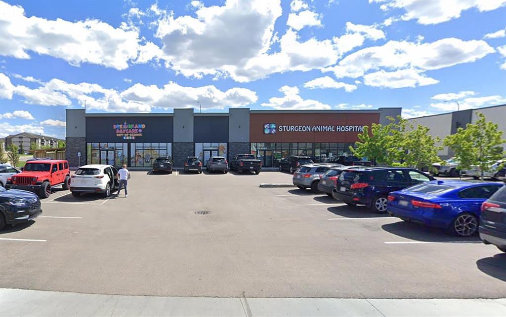 85 Neil Ross Road, St. Albert, AB