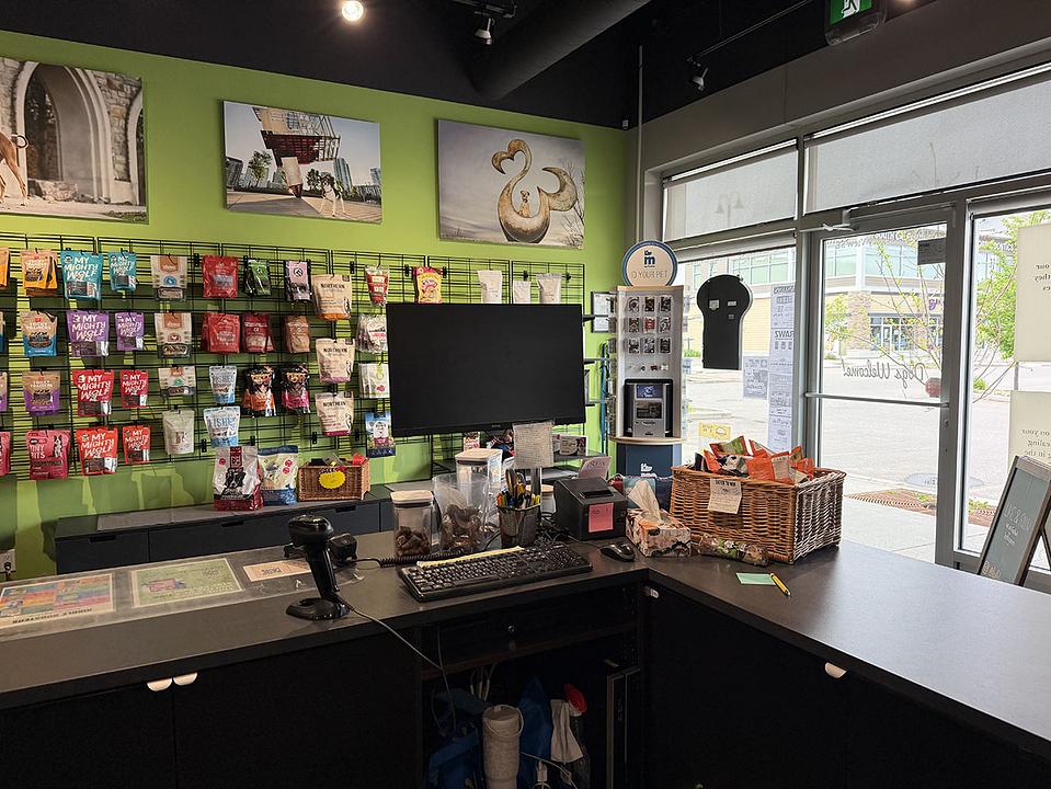 5740 2 Street Southwest, Calgary, AB
