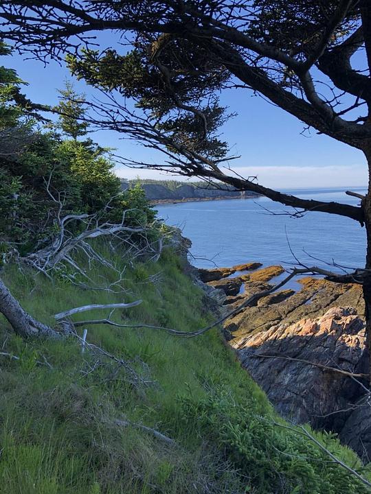 Lot 10CD-13 - Pepperrell Road, Mavillette, NS