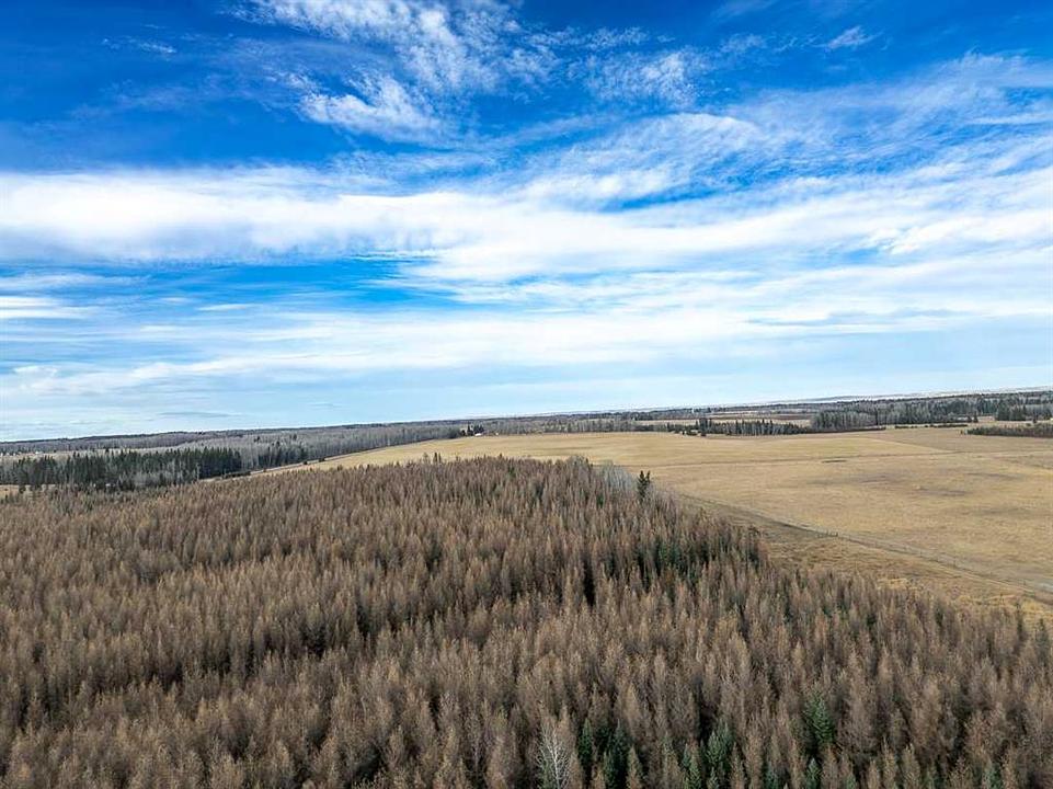 Range Road 6.2, Rural Clearwater County, AB