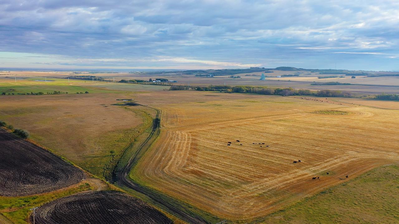 7520 C And East Trail, Innisfail, AB