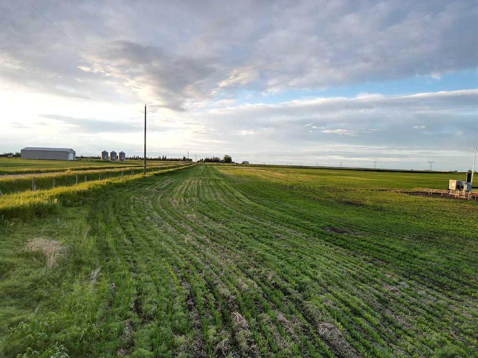Range Road 274, Rocky View County, AB