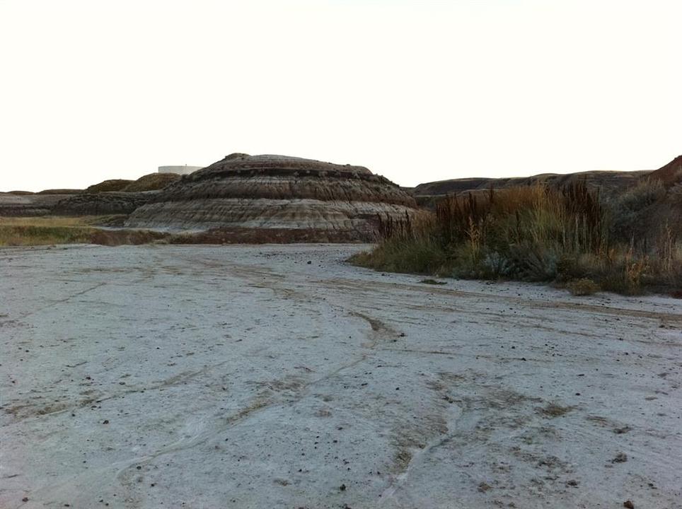 NW-02-029-20W4M NW Other, Drumheller, AB