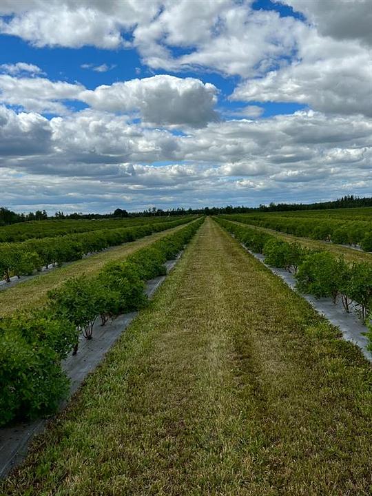 705068 Range Road 82, Wembley, AB