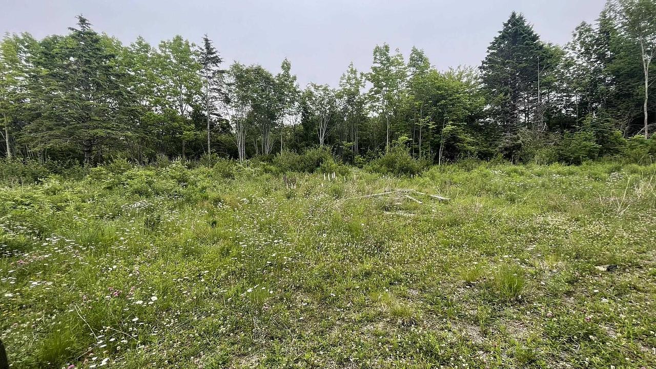 4398 Nova Scotia Trunk 1, Weymouth, NS