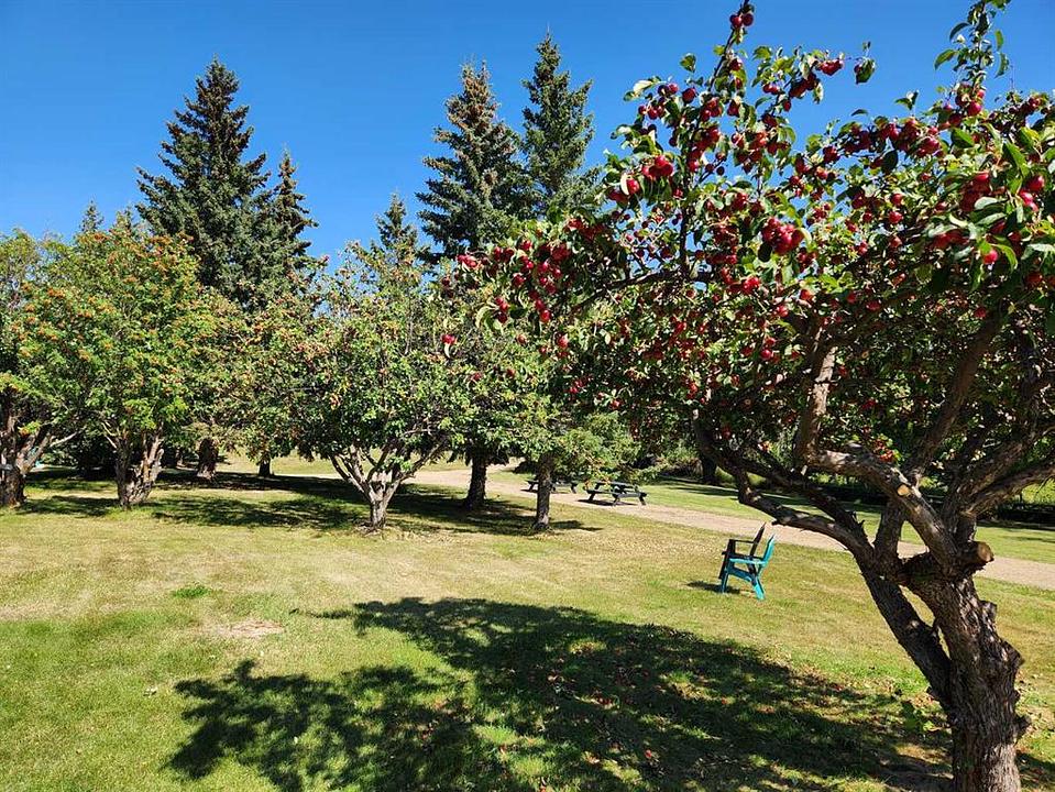 5430 Fairview Avenue, Bashaw, AB