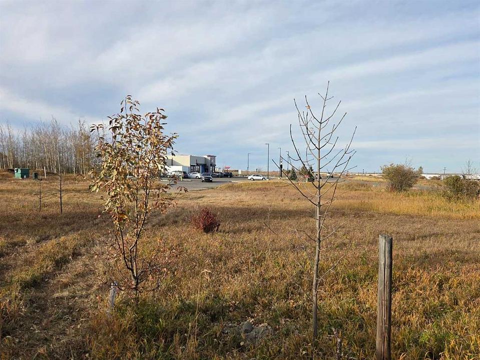 2412 20 Street, Didsbury, AB