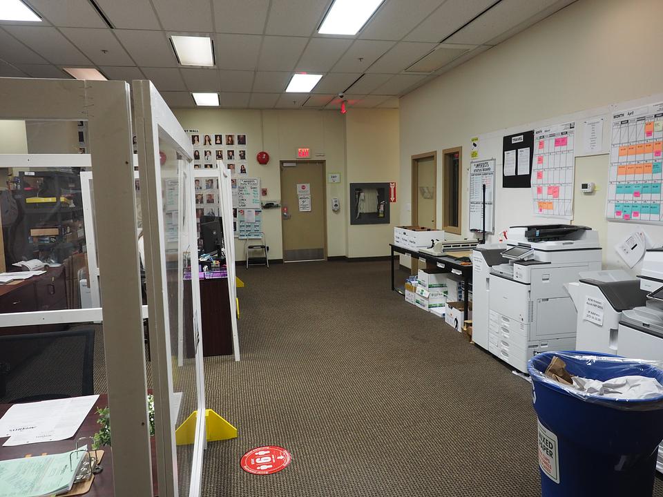 main floor - 780 Beatty St, Vancouver, BC