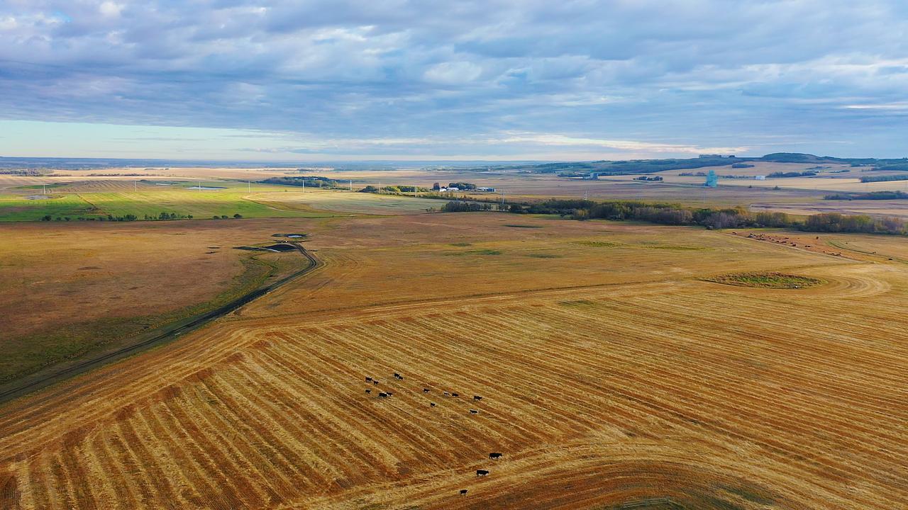 7520 C And East Trail, Innisfail, AB