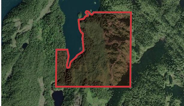 DL 202 - Walbran Island, Central Coast, BC
