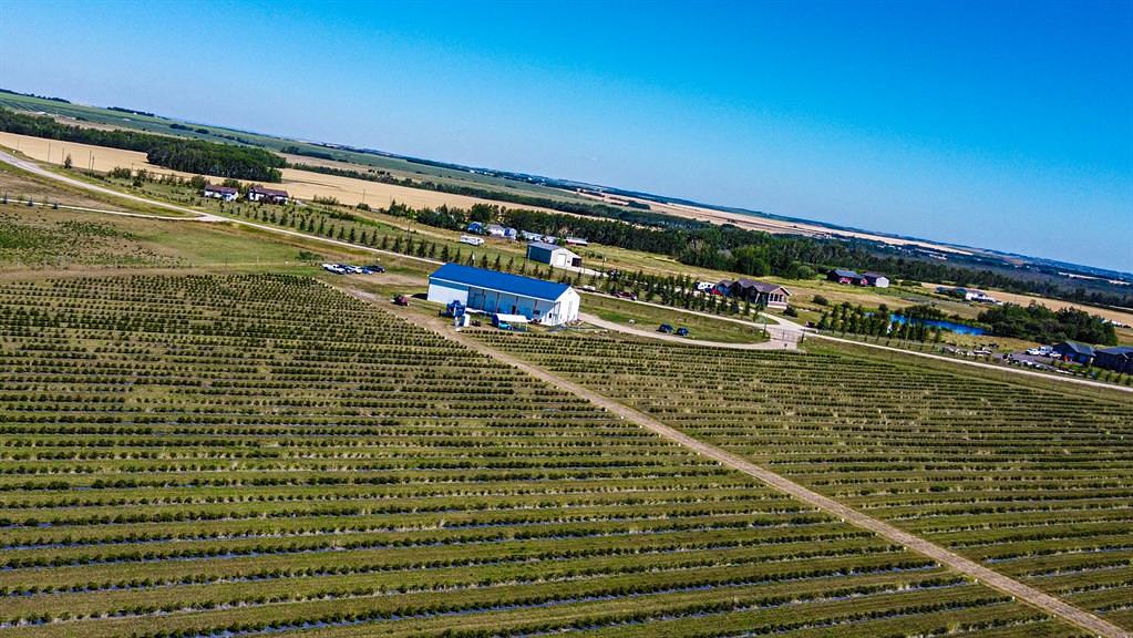 705068 Range Road 82, Wembley, AB