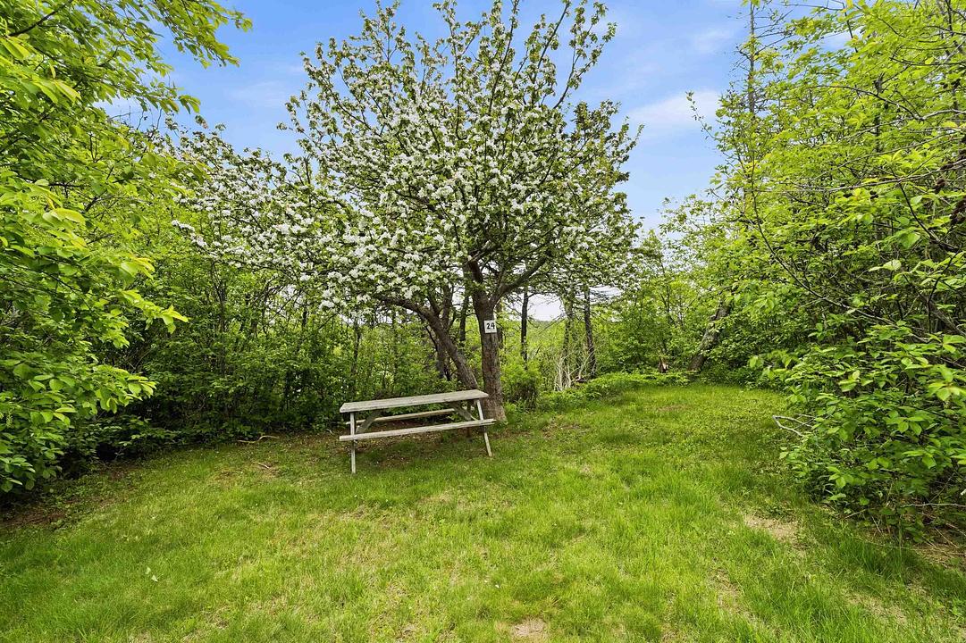 50 Whale Cove Road, Whale Cove, NS