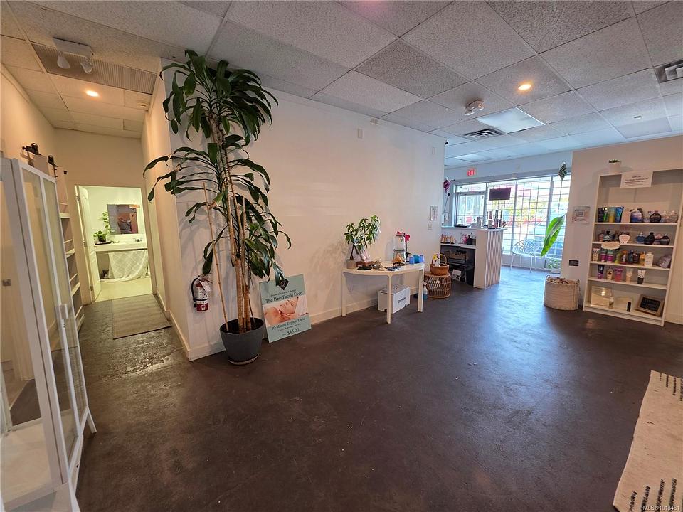 #B - 3388 Douglas Street, Victoria, BC