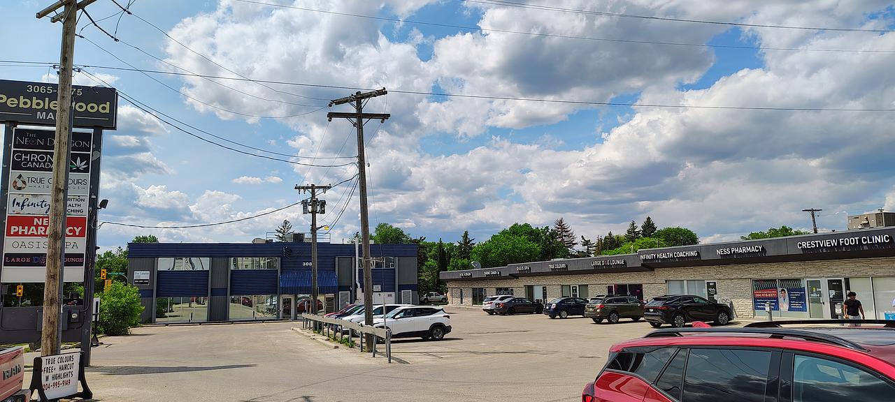 Main Floor - 3081 Ness Avenue, Winnipeg, MB