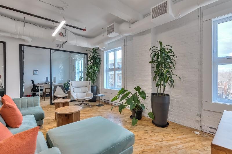 305 Rue de Bellechasse, Montréal, QC