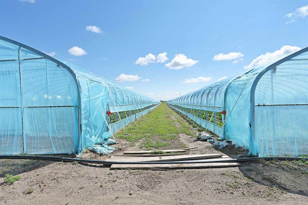 185077 RR153, Rural Newell, County of, AB